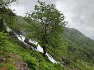 Katie Allen Scafell Sky Race