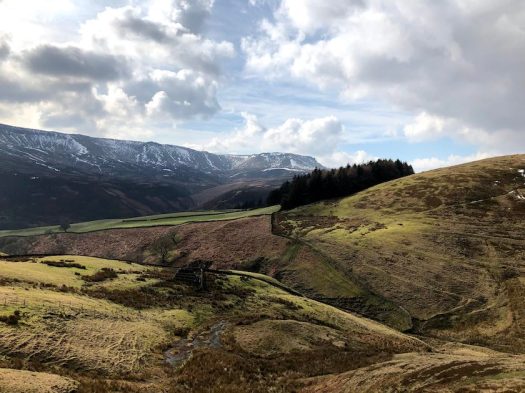 Racing the Coronavirus Apocalypse Mountains